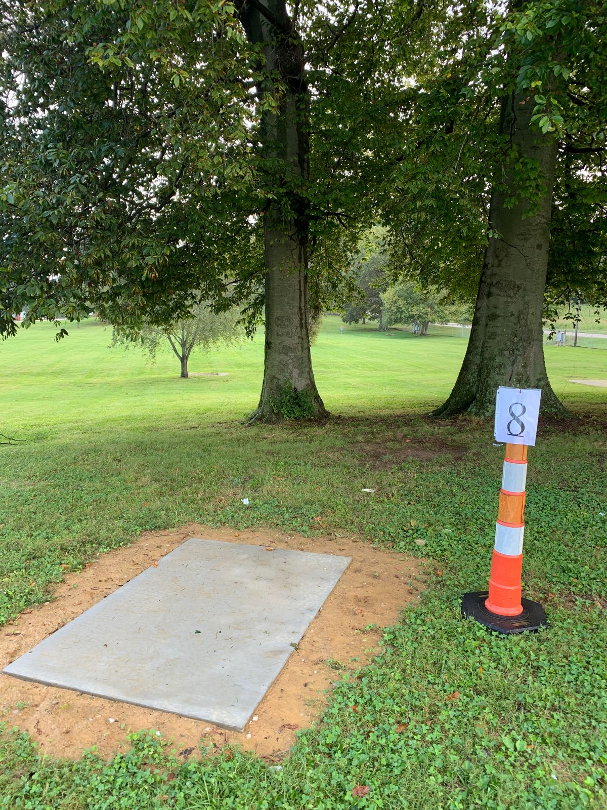Hole 8 tee pad