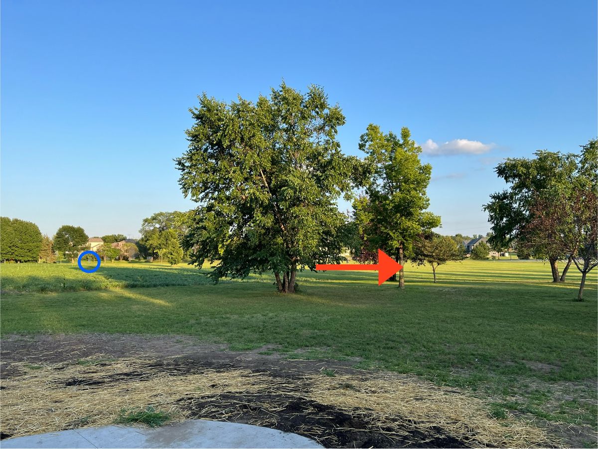 7 - Mado, right of corner tree