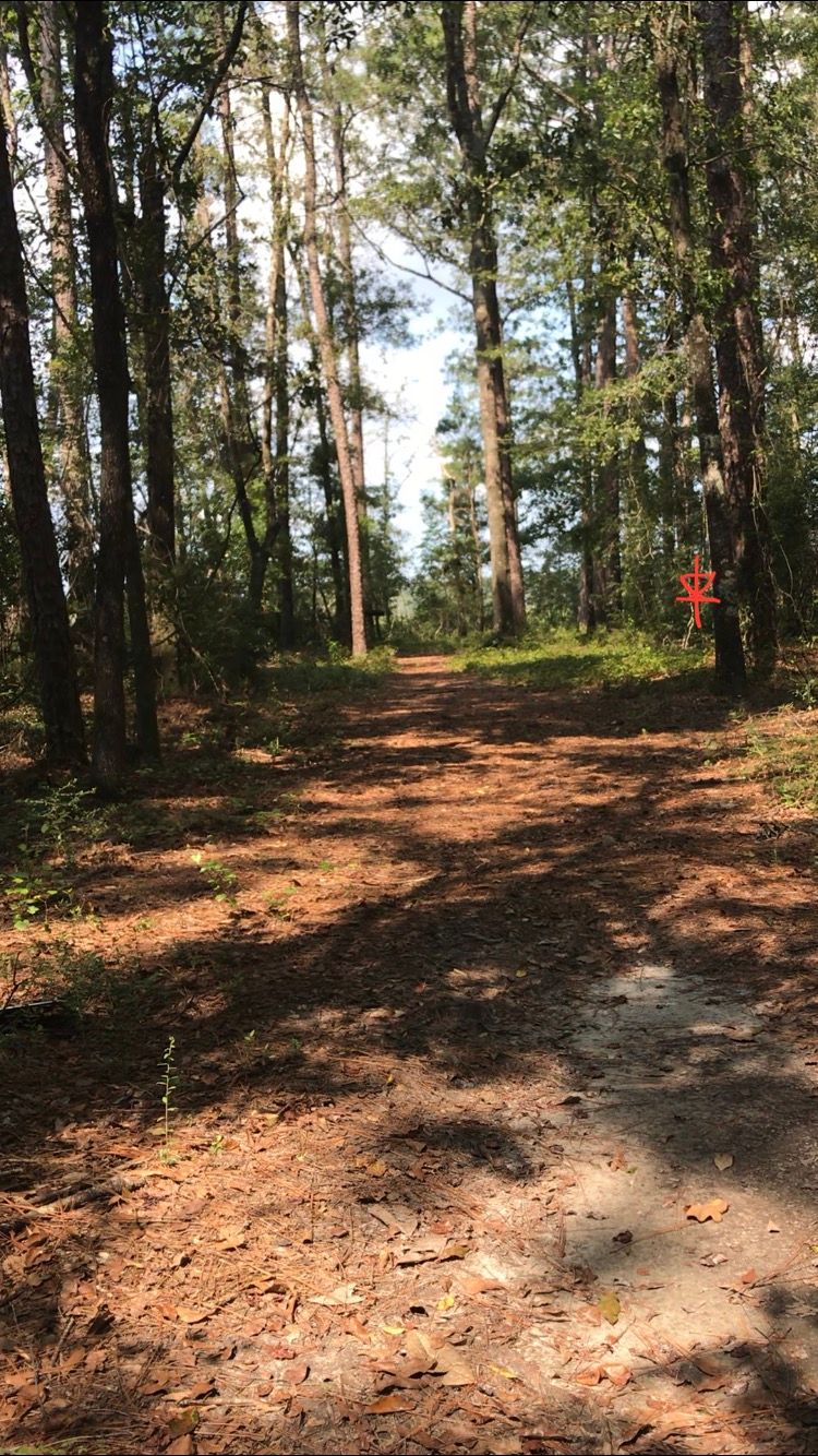 Hole 11: Spike shot right