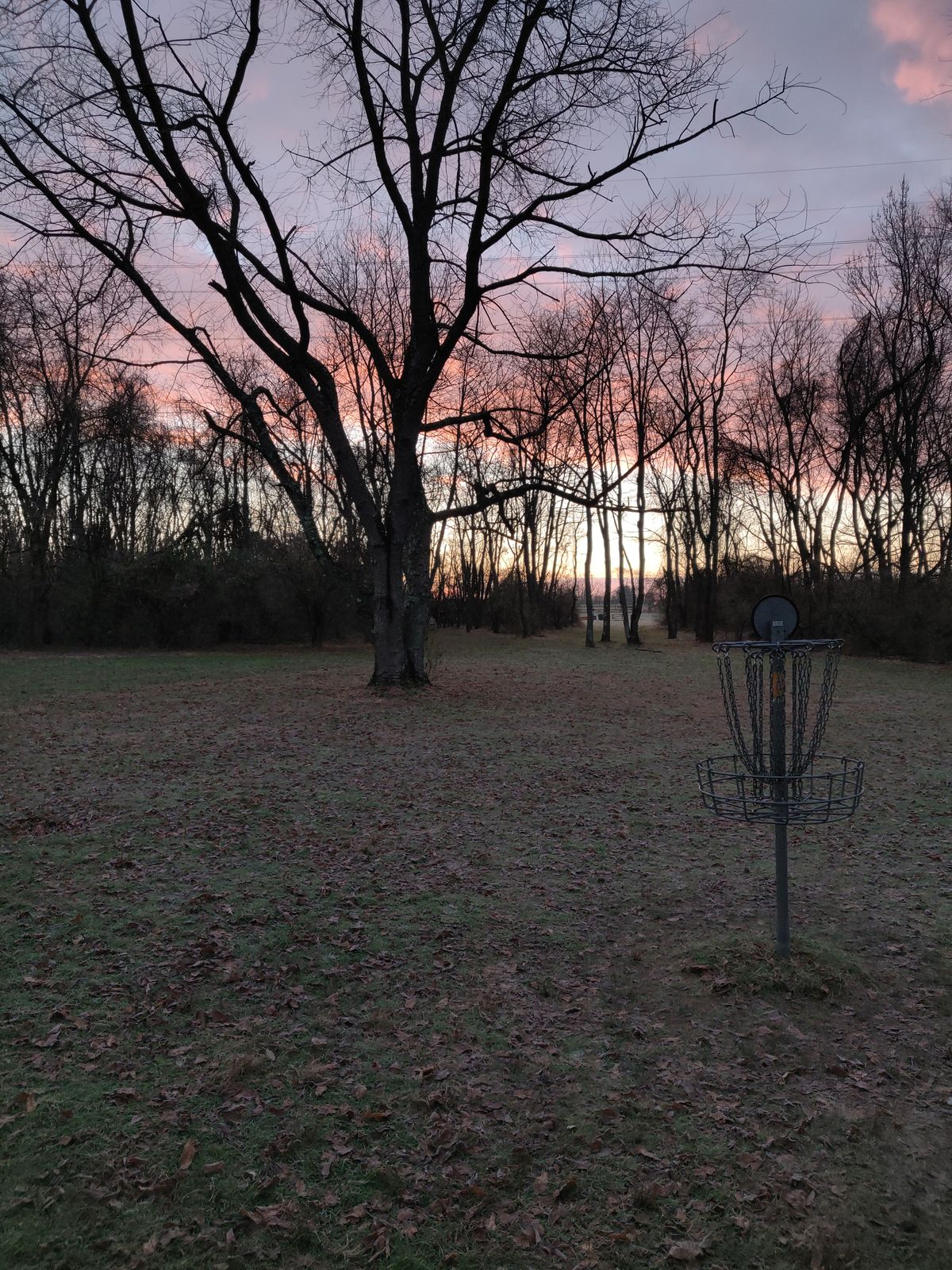 Hole #4 looking back to tee