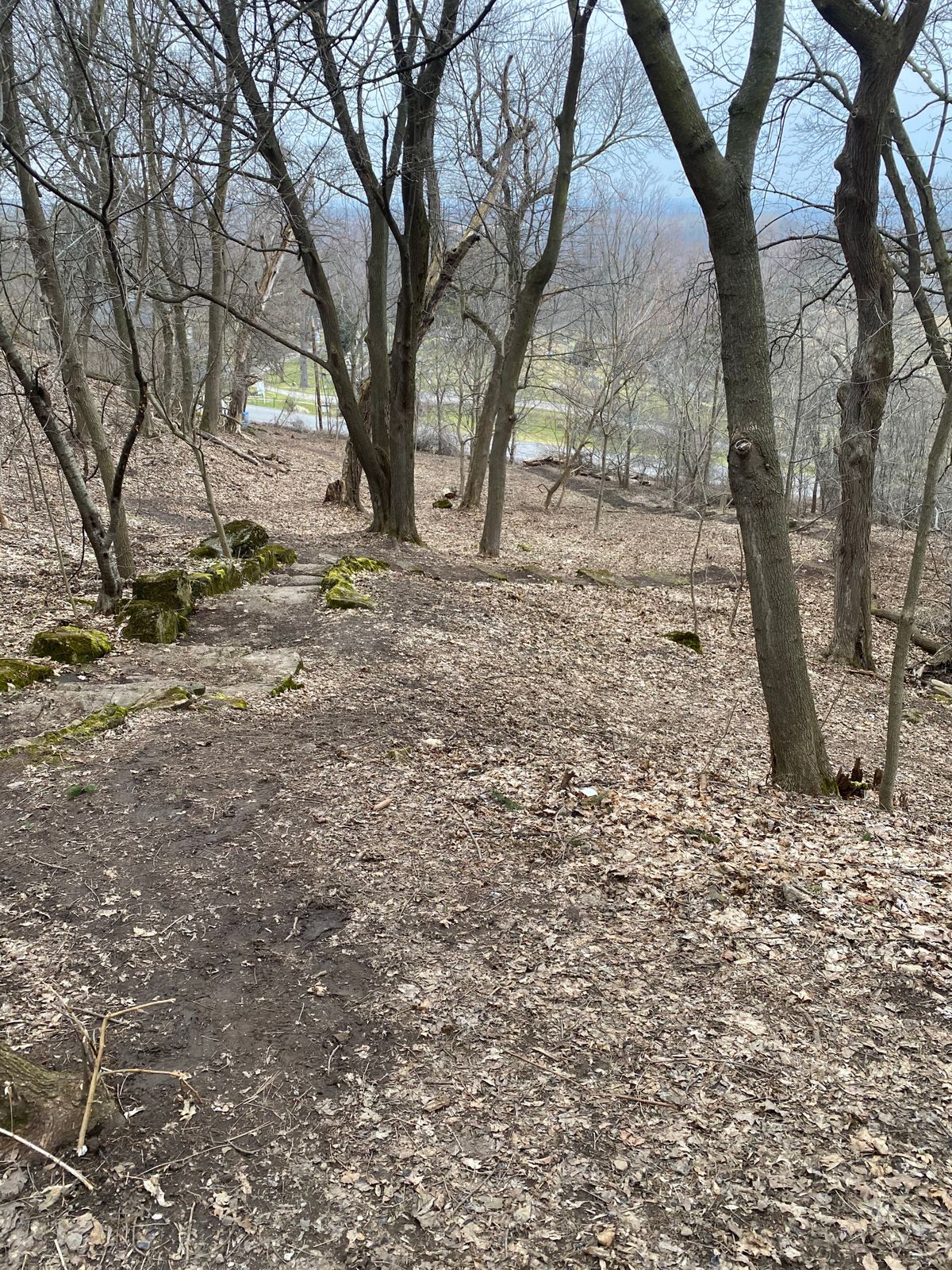 Looking down 5’s fairway
