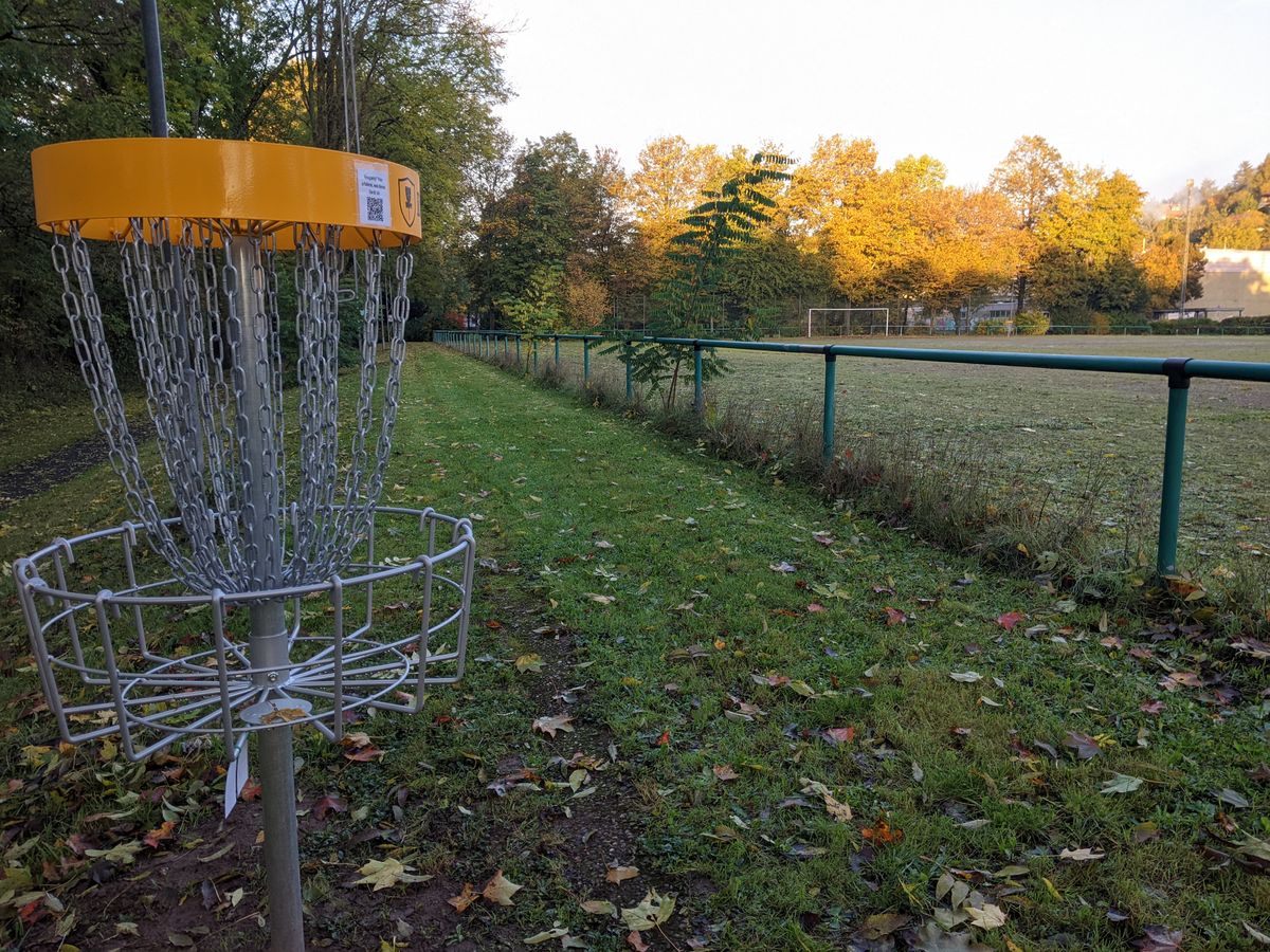 Basket 5 looking back toward the tees