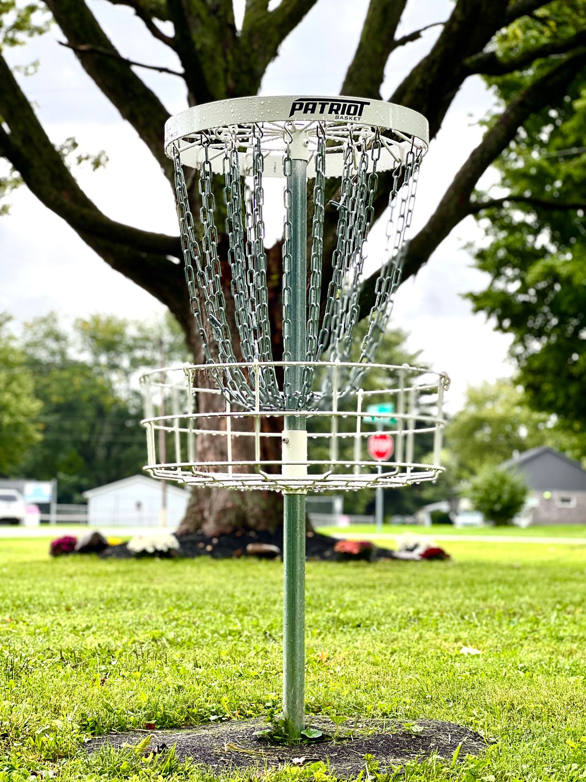 Basket 01