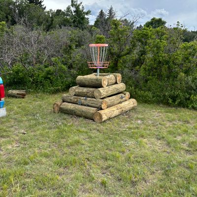 Elevated basket 3