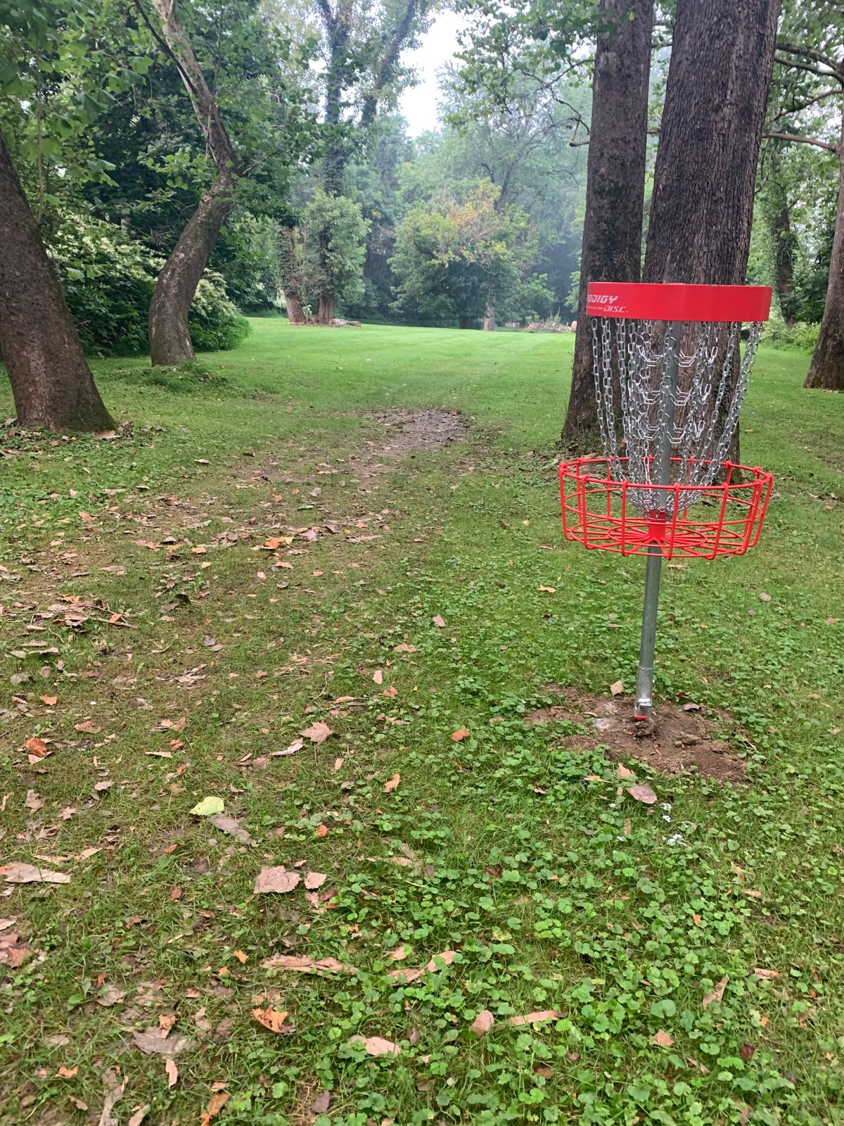Hole #3 basket