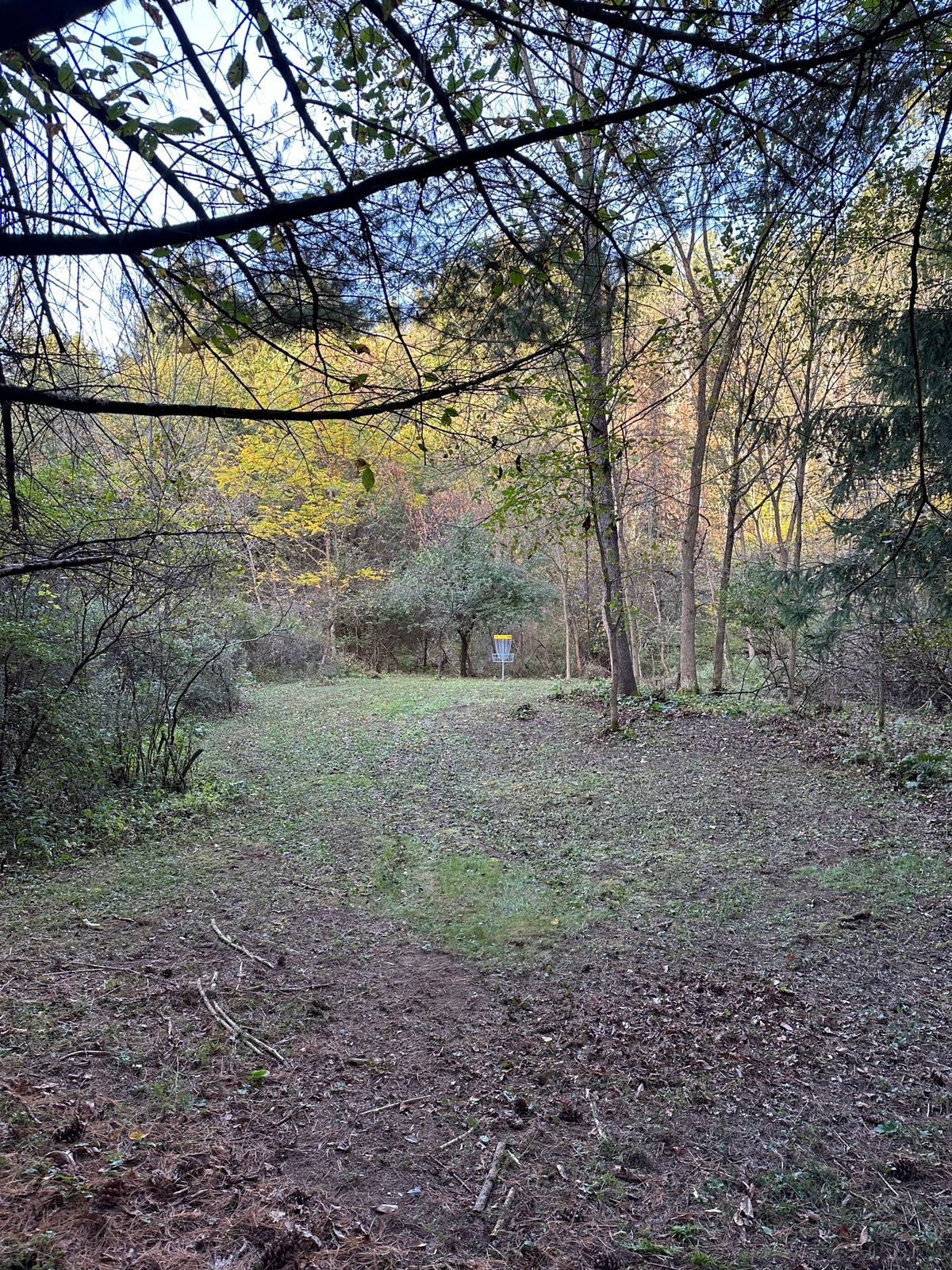 Hole 12