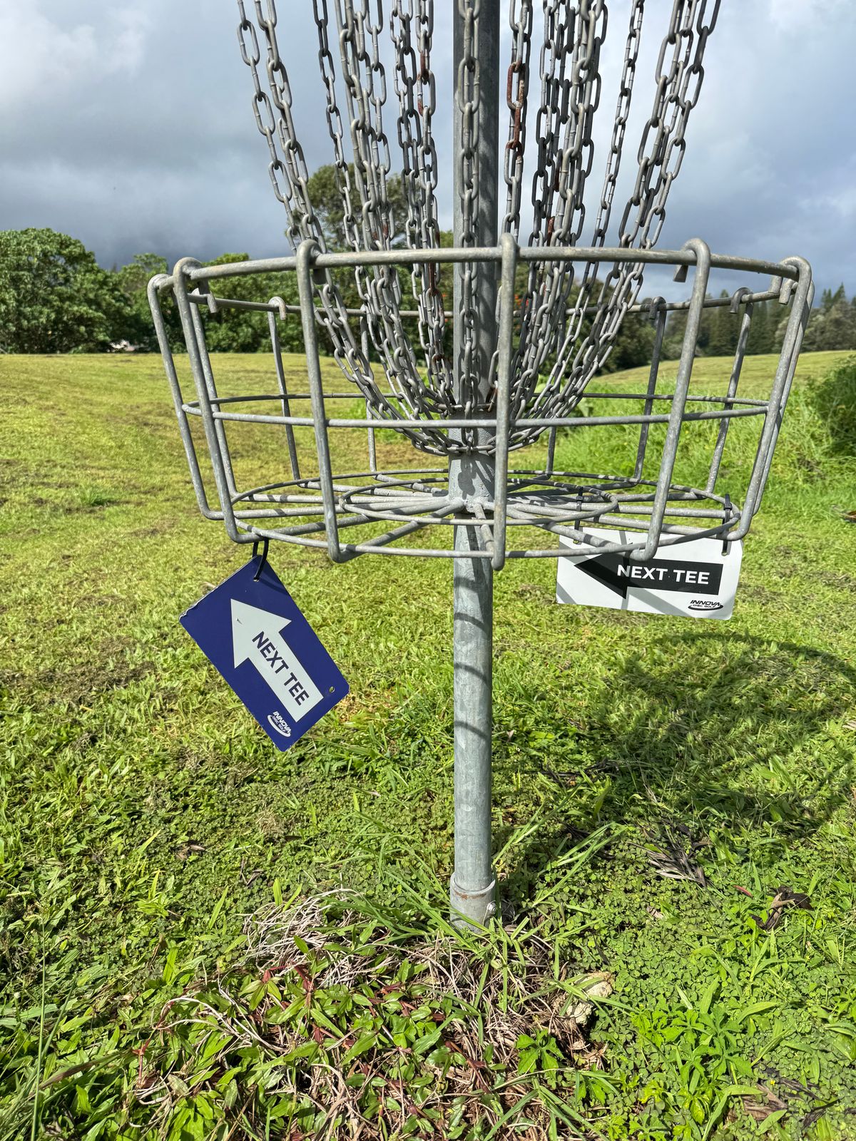 Many next few signs were like this