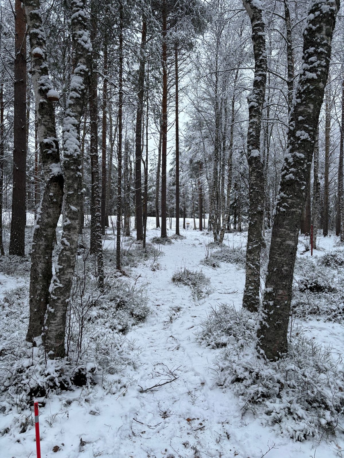 14 on talviradan lyhin väylä, mutta ei välttämättä kuitenkaan helpoin?