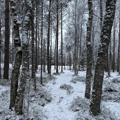 14 on talviradan lyhin väylä, mutta ei välttämättä kuitenkaan helpoin?