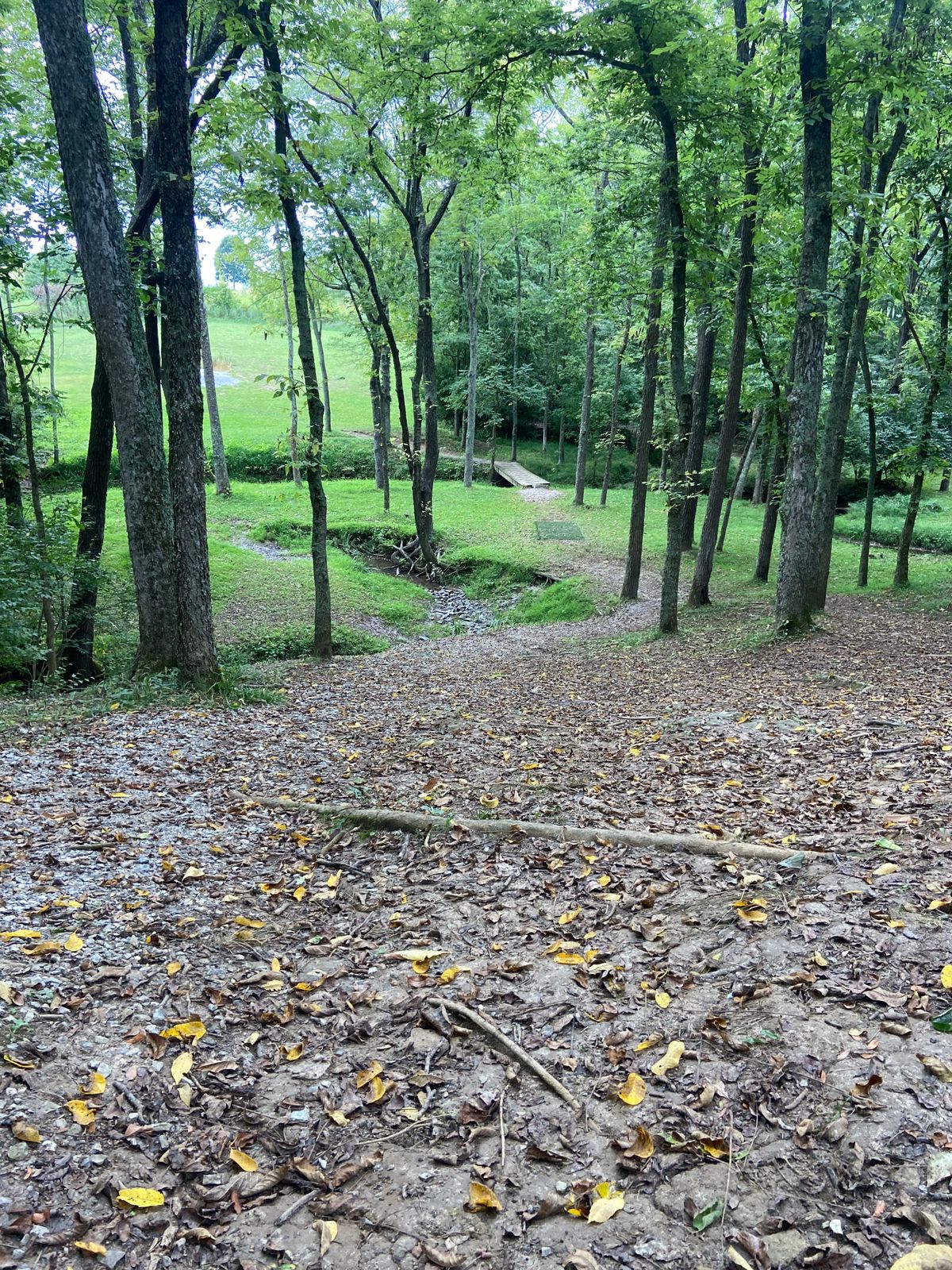 It’s green, some fairway.
