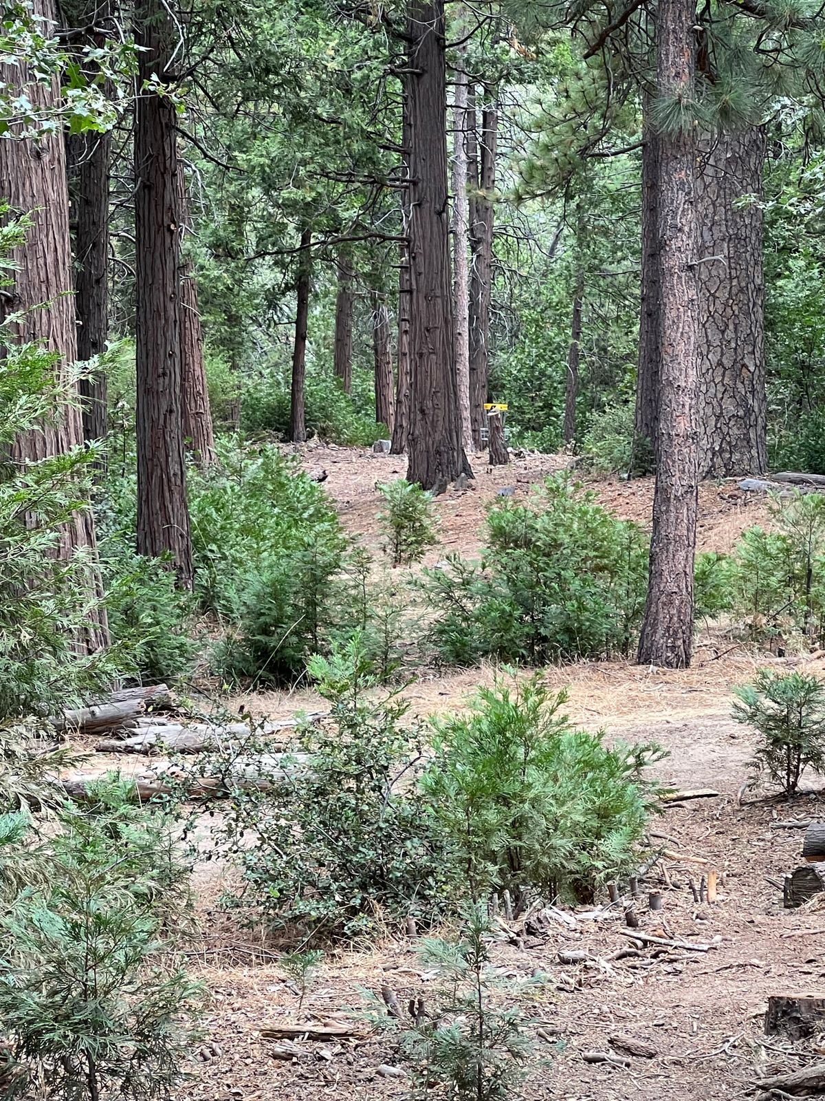 Hole 2