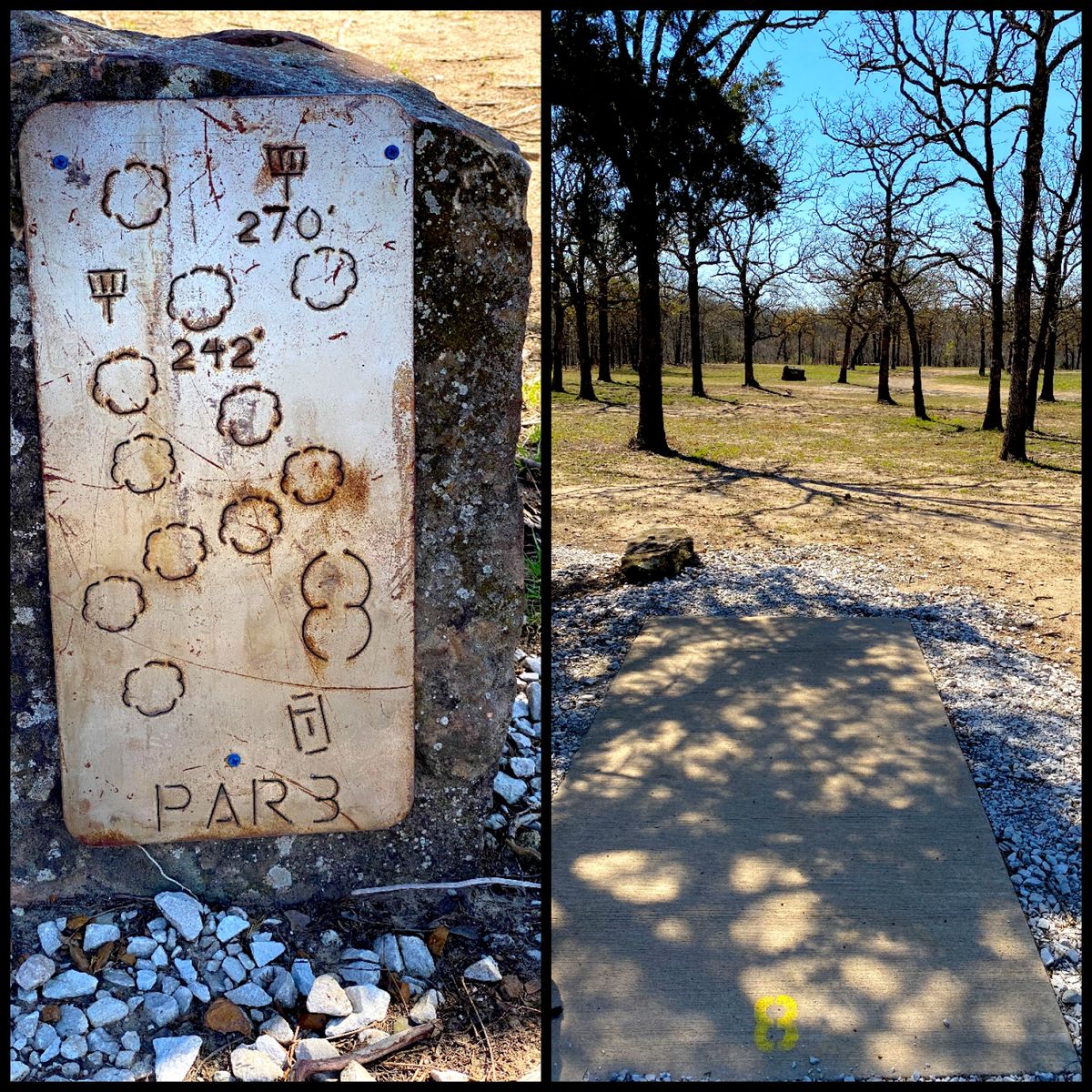 #8 Tee Throwing west
