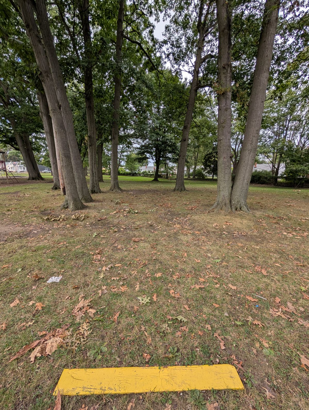 #4 tee