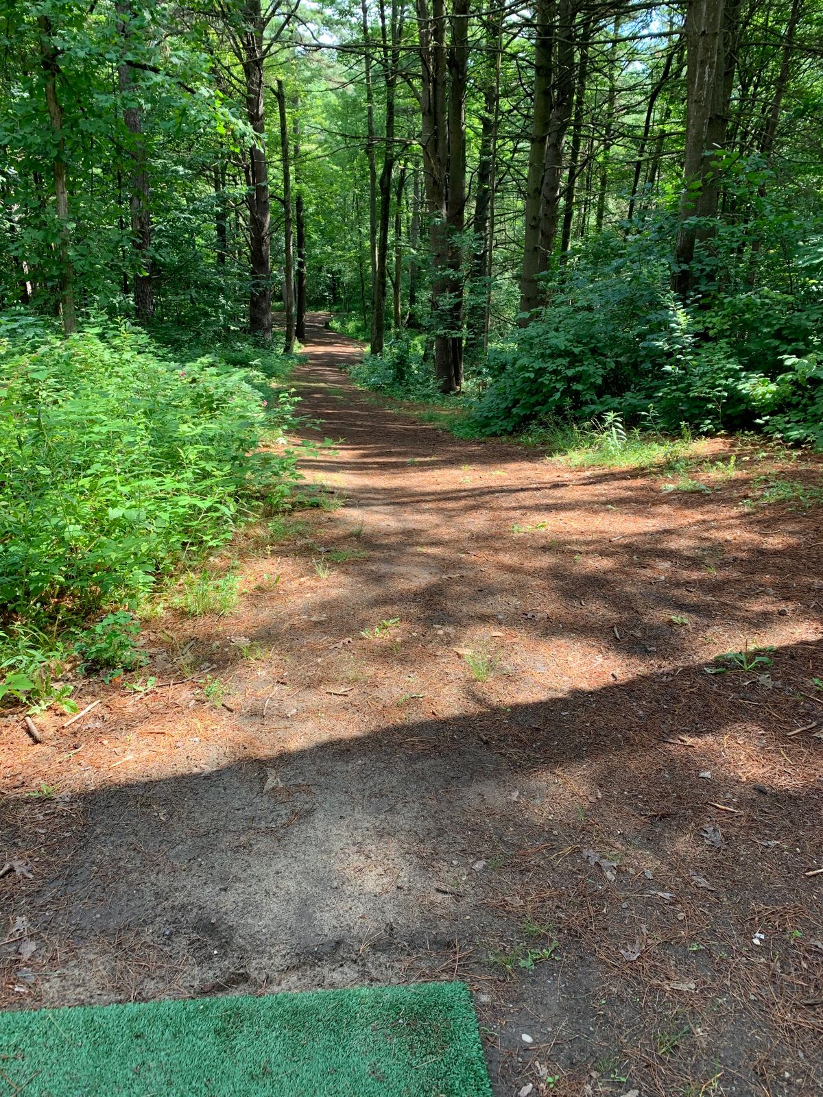 Hole 6