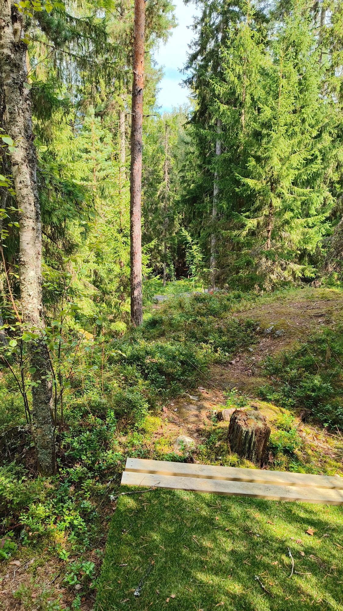 Väylä #9