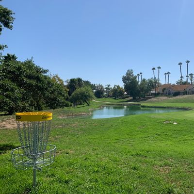 Alpha Hole 3 Basket