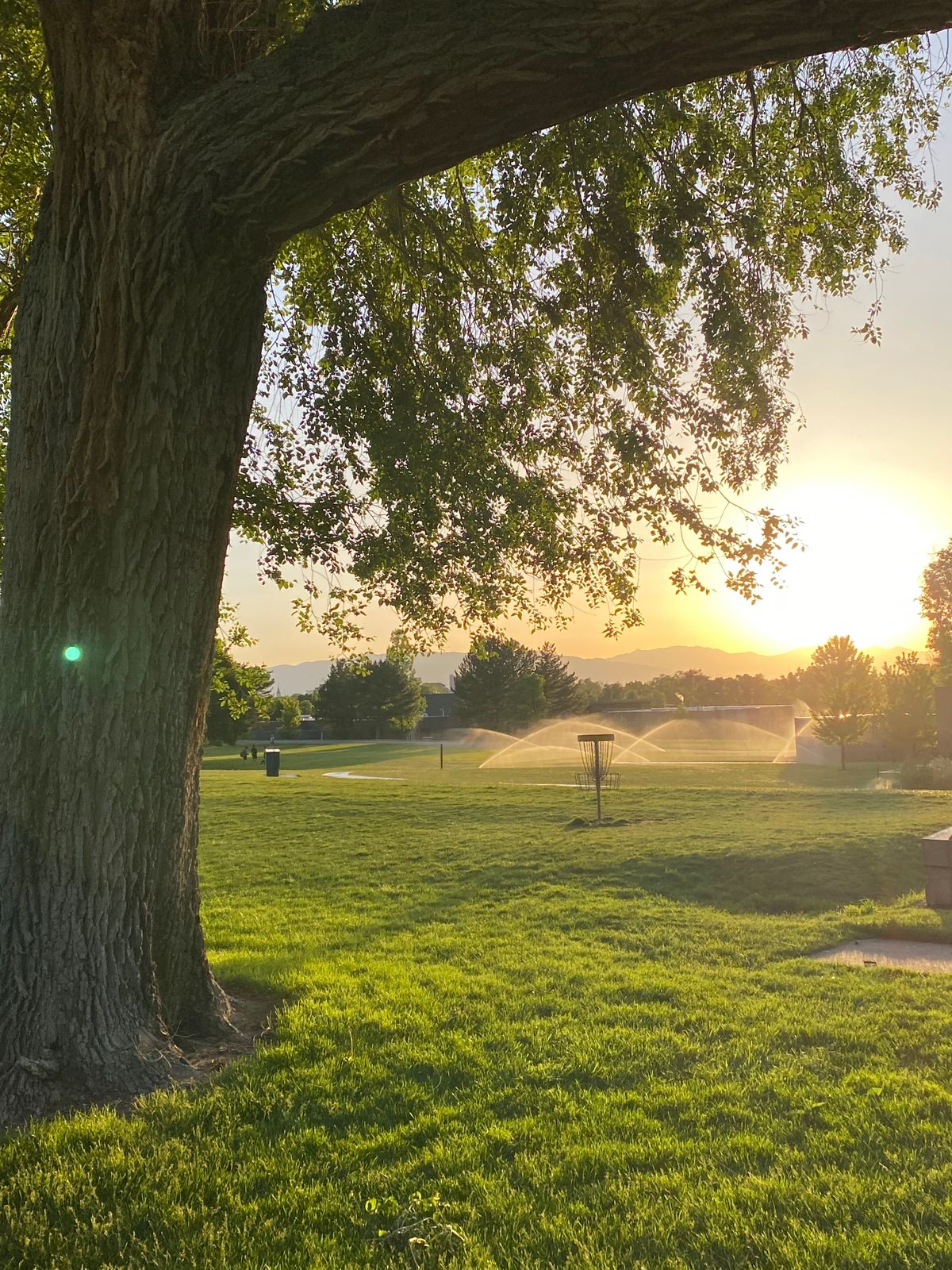 Always beautiful, also sprinklers!