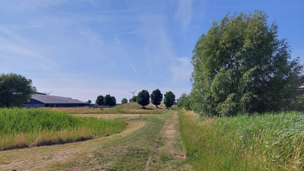 Alles gemaaid, hole 16