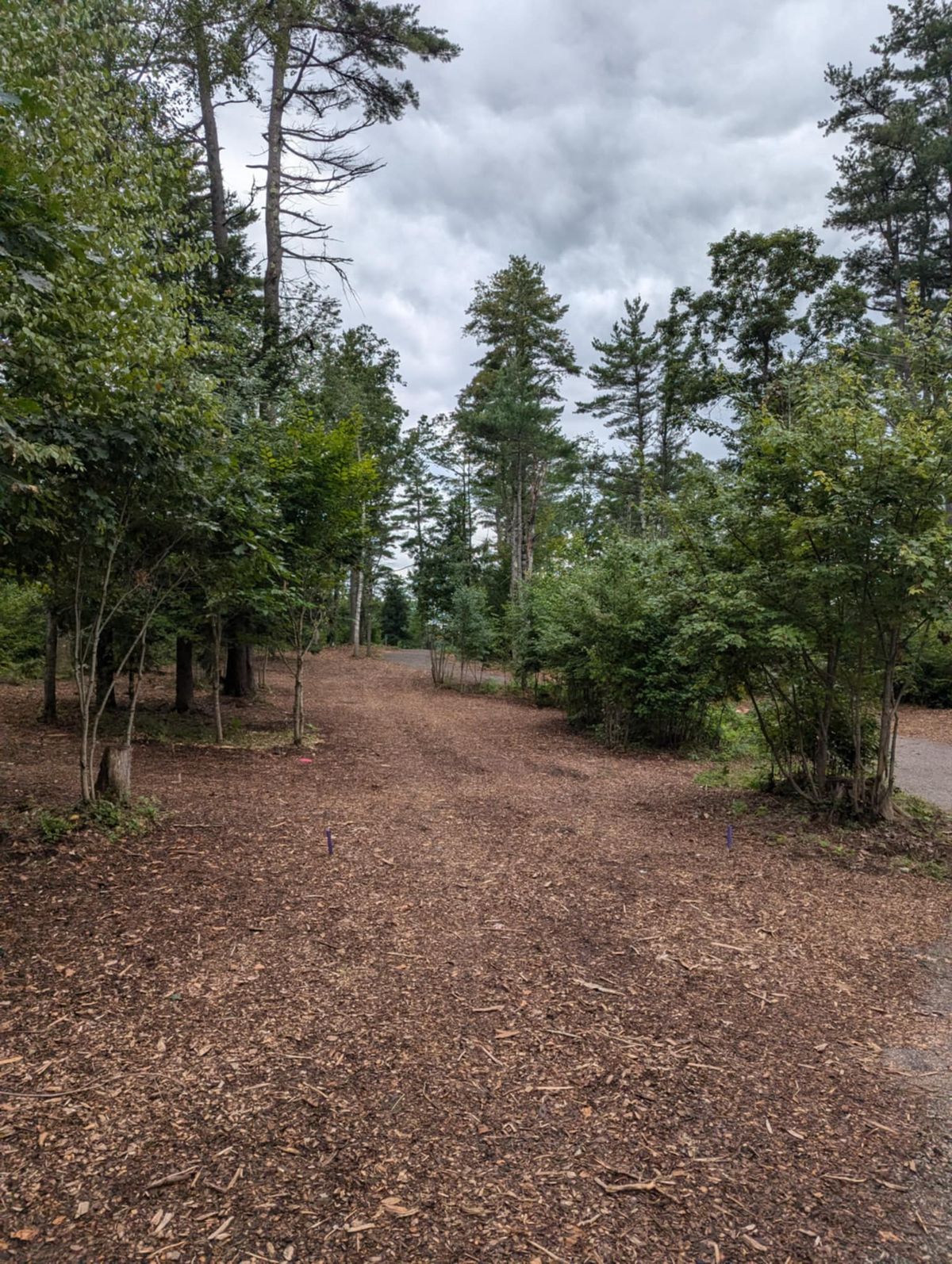 Hole 6 mid fairway