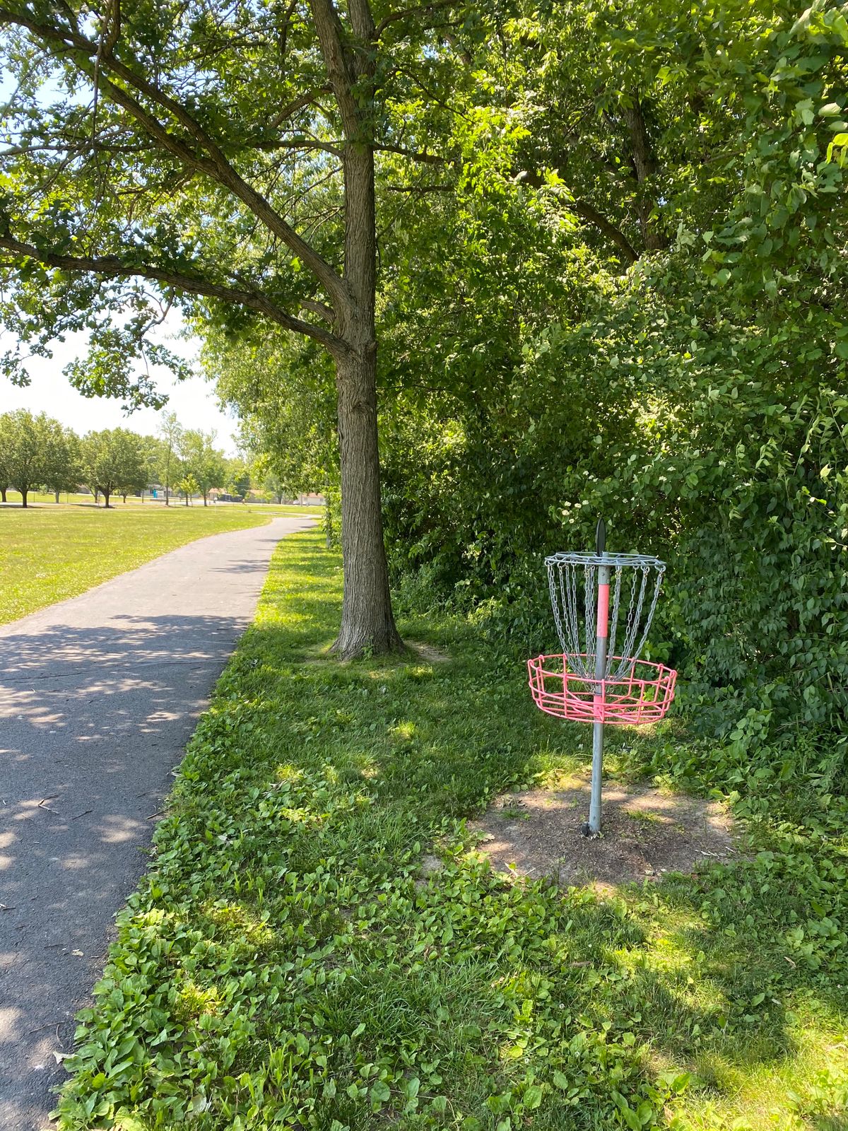 Hole 17 (Reverse)