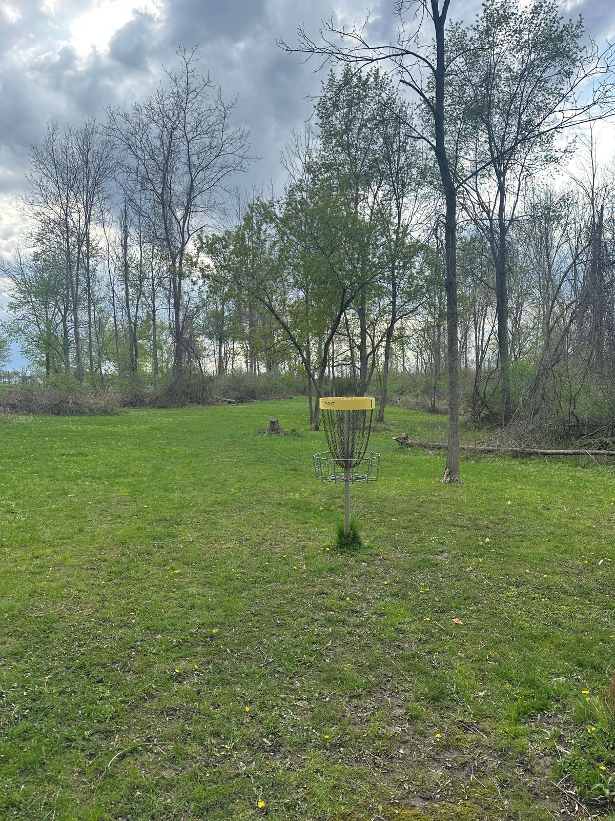Hole 1 from basket looking at Tee