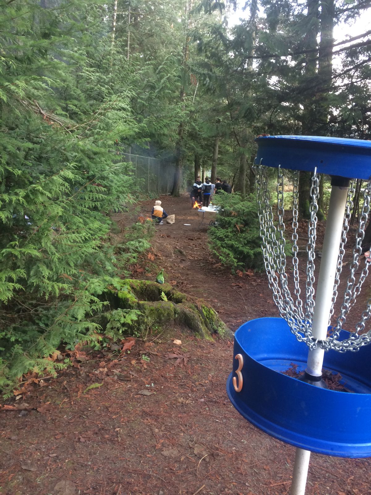 9 baskets on course