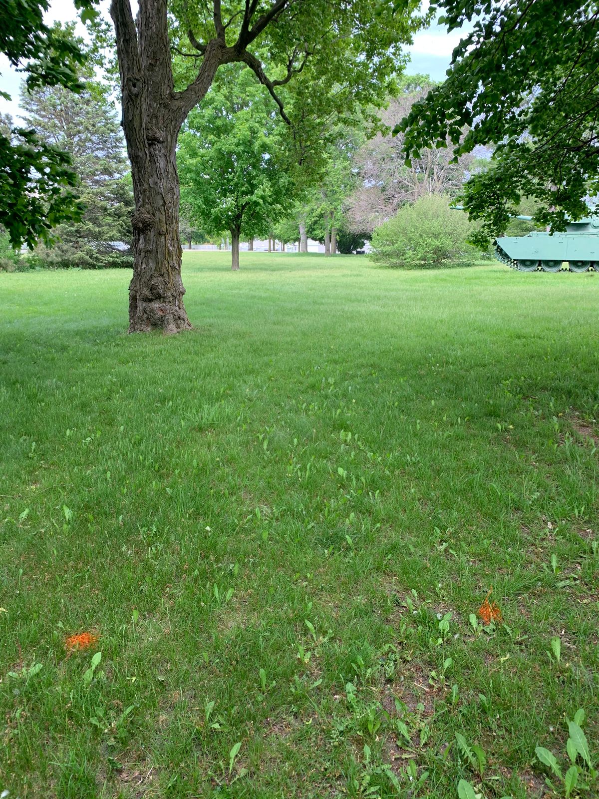 Hole 8 red tee
