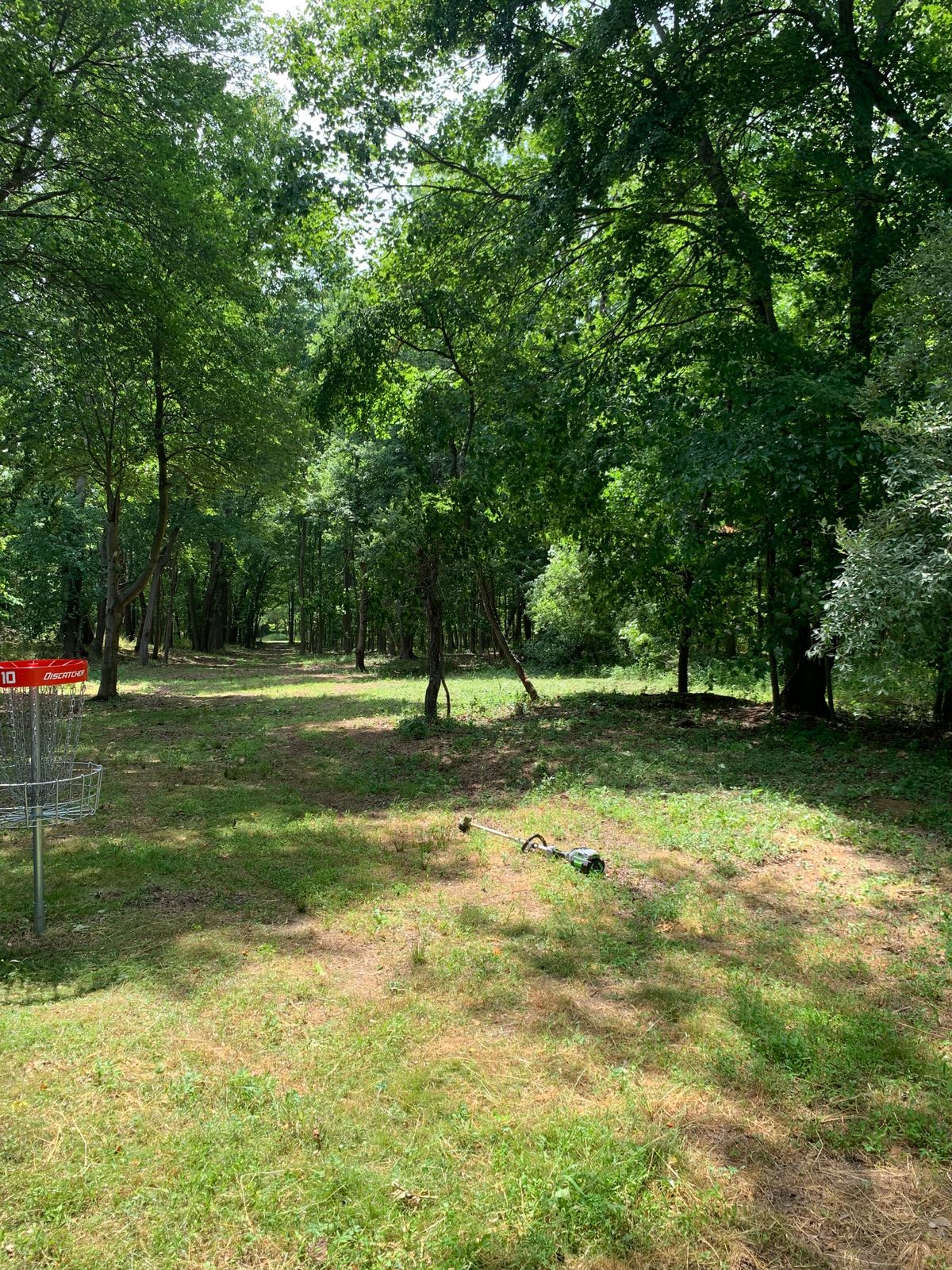 Hole 10 Basket