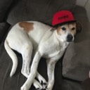 User avatar image