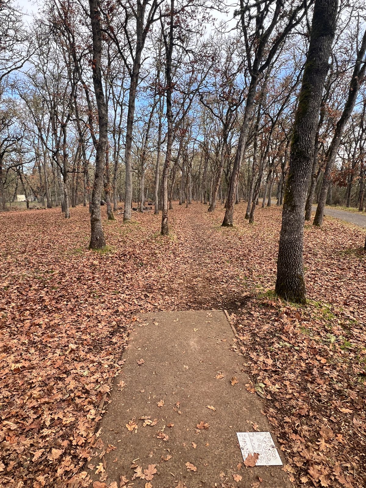 Hole 3 tee