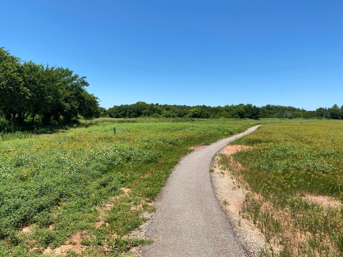 The elevation change isn’t a pond, just 6 foot tall vegetation in the “fairway.”