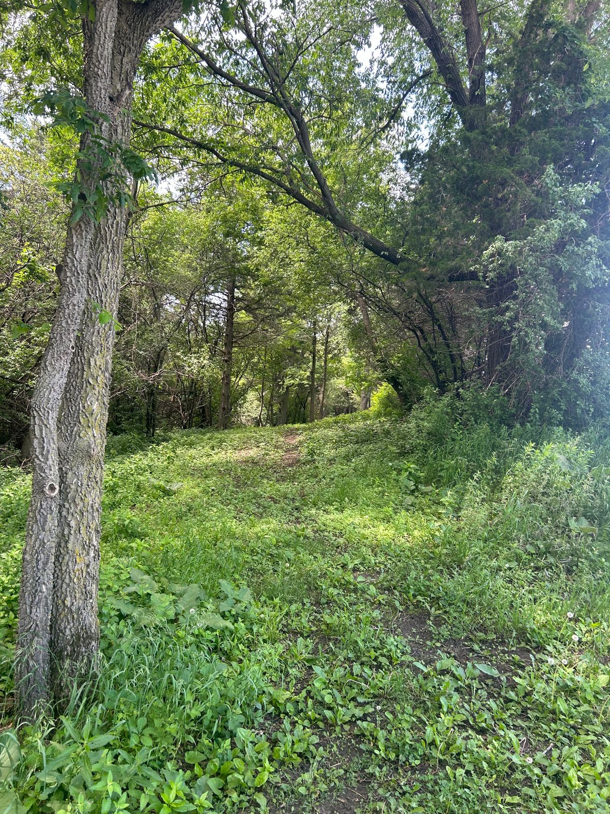 Hole 9