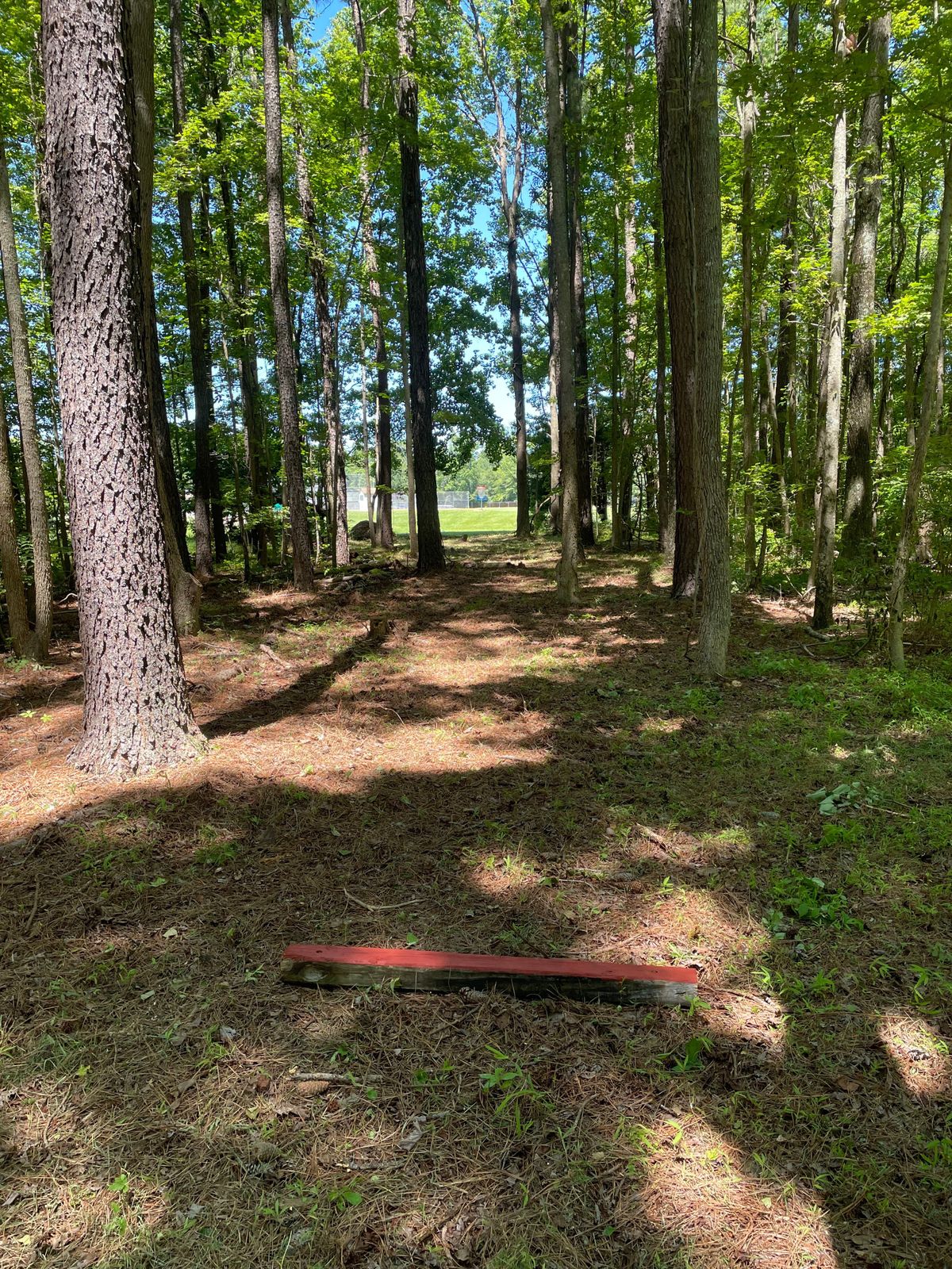 Hole 5 red tee