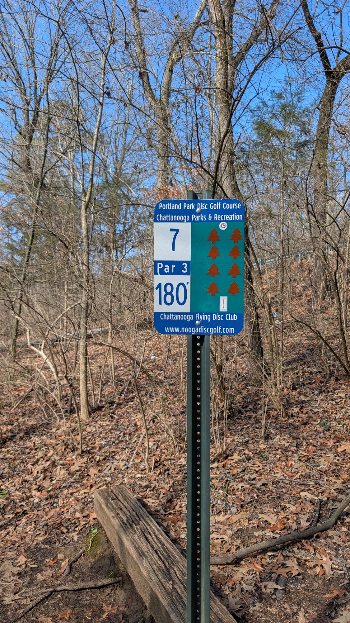 7th sign