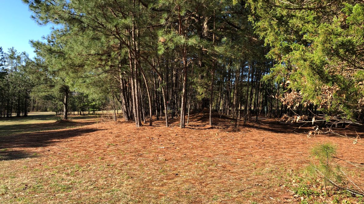 Hole 5