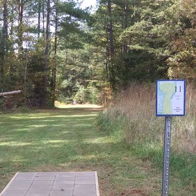 Hole 11