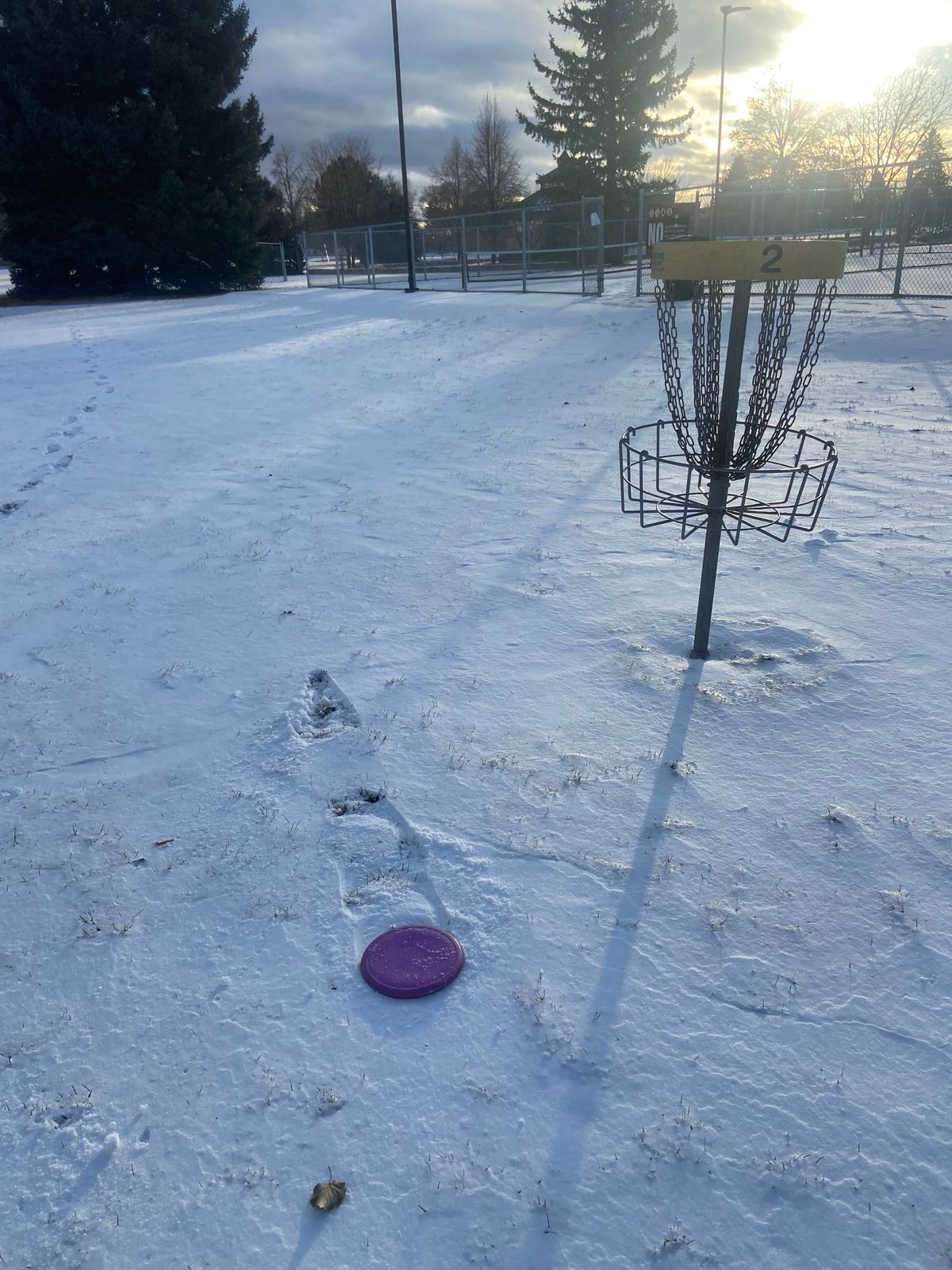 Hole 2 basket