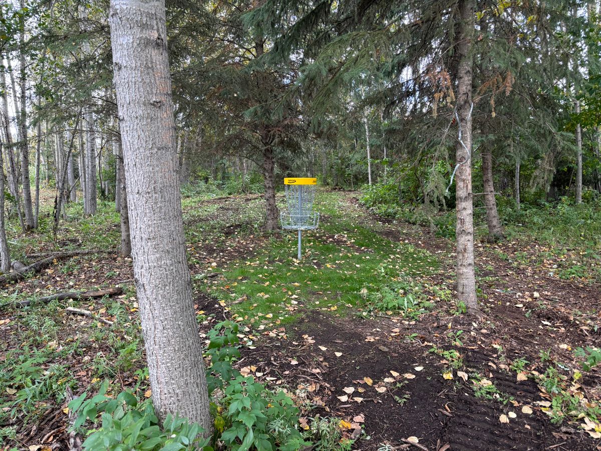 Hole 10 Green