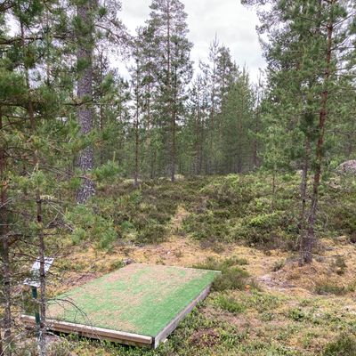 Course photo