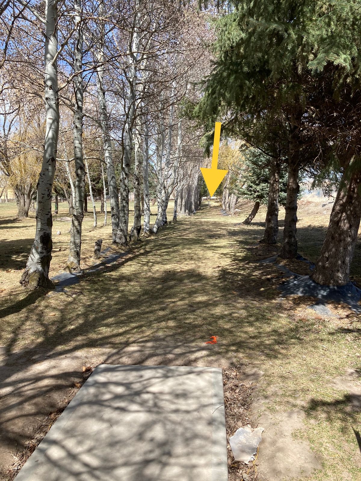 Hole 3