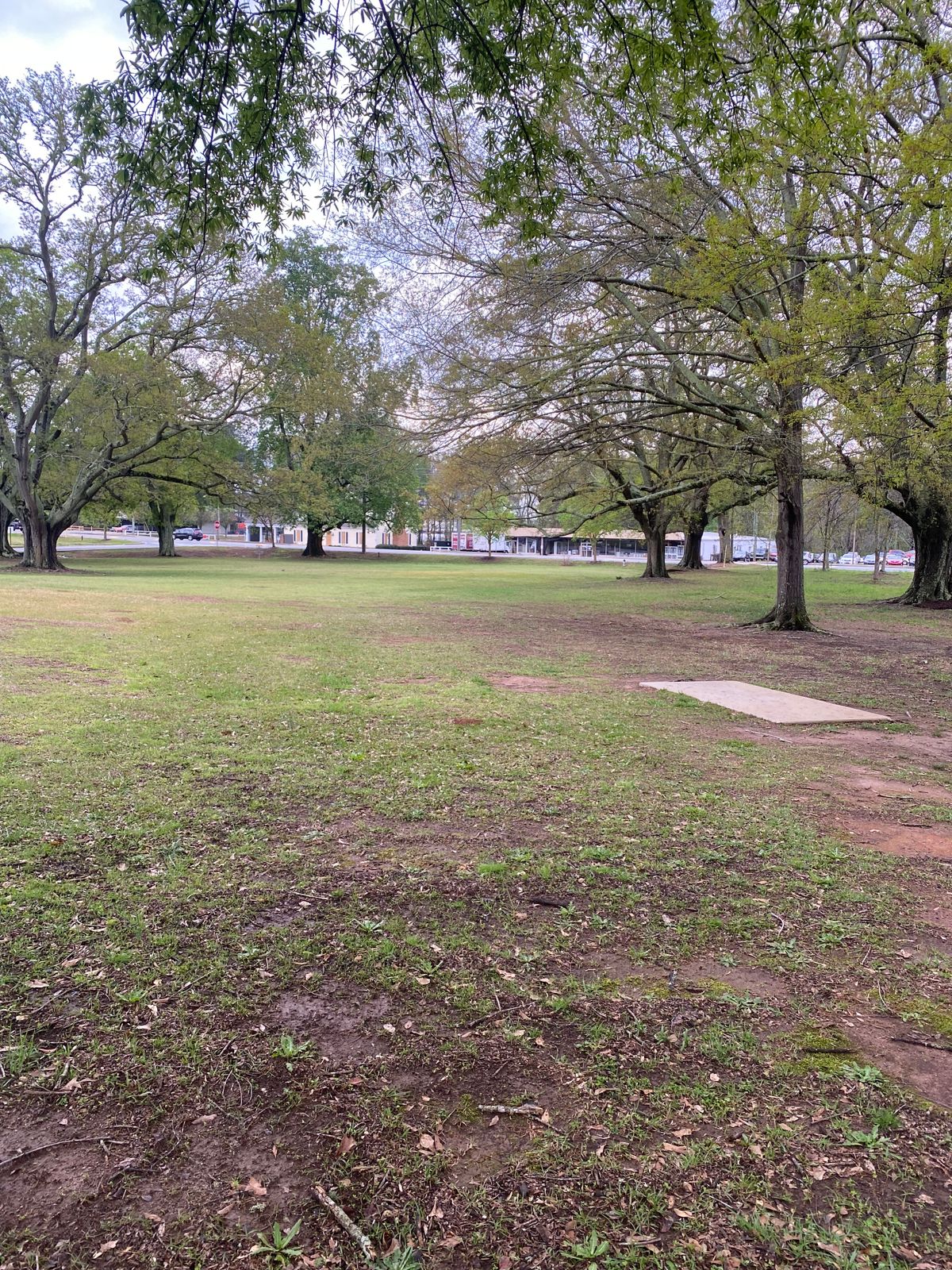 Hole 5