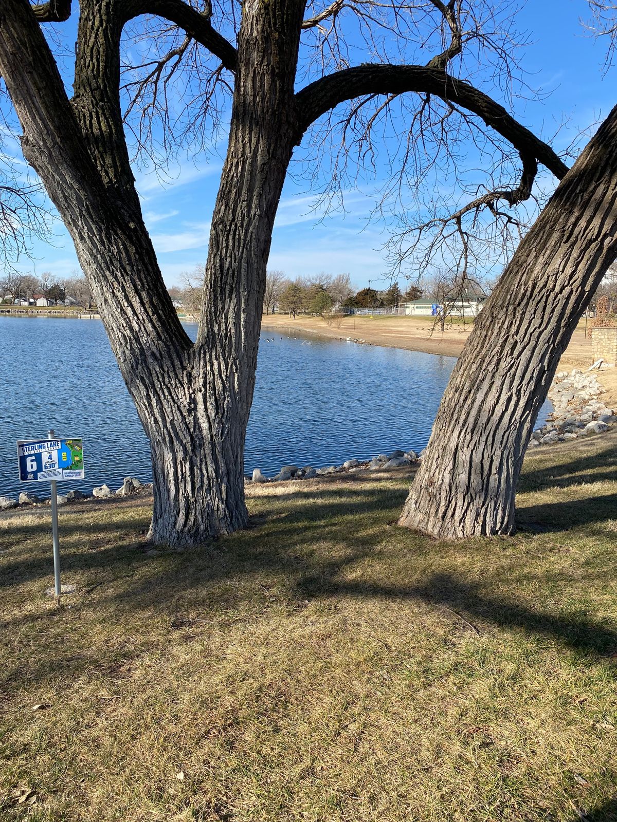 Hole 6 long basket tee
