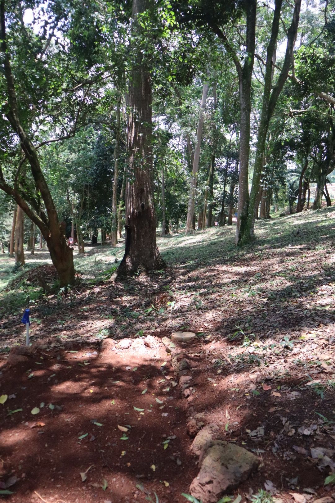 Hole 8 long tee