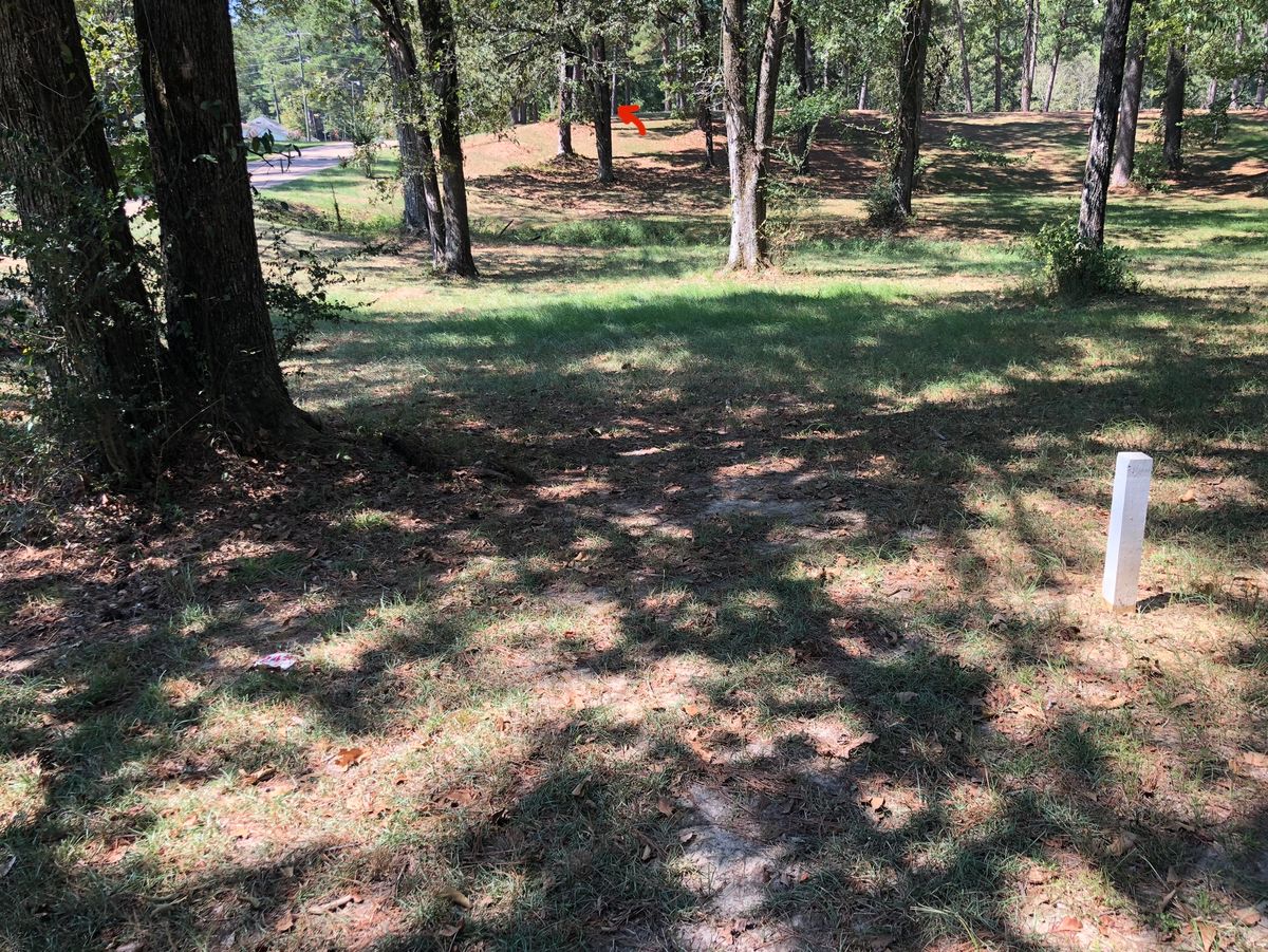 Hole 16 basket straight past the “V” tree and fade 15’ left.