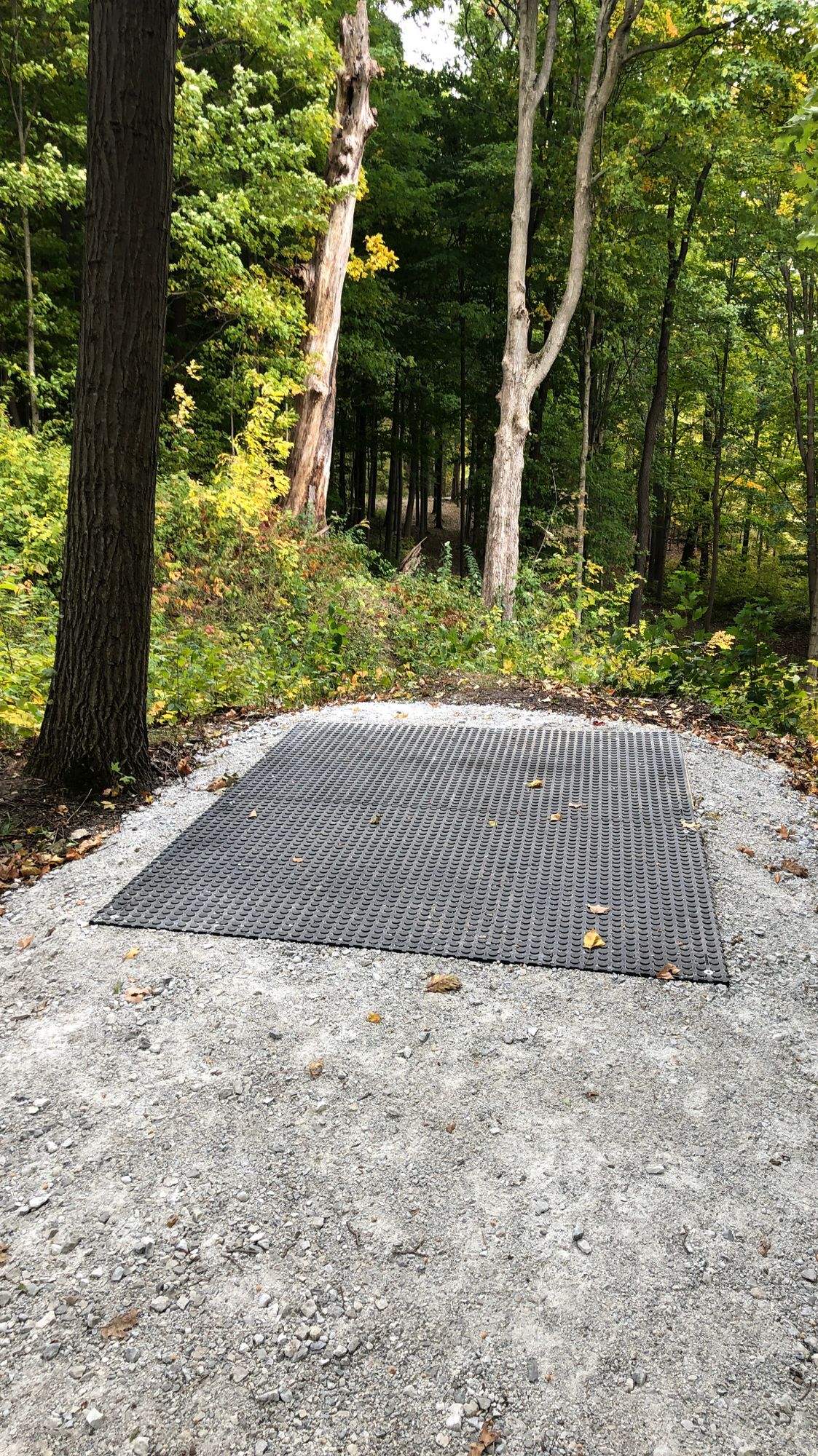New teepad hole 10