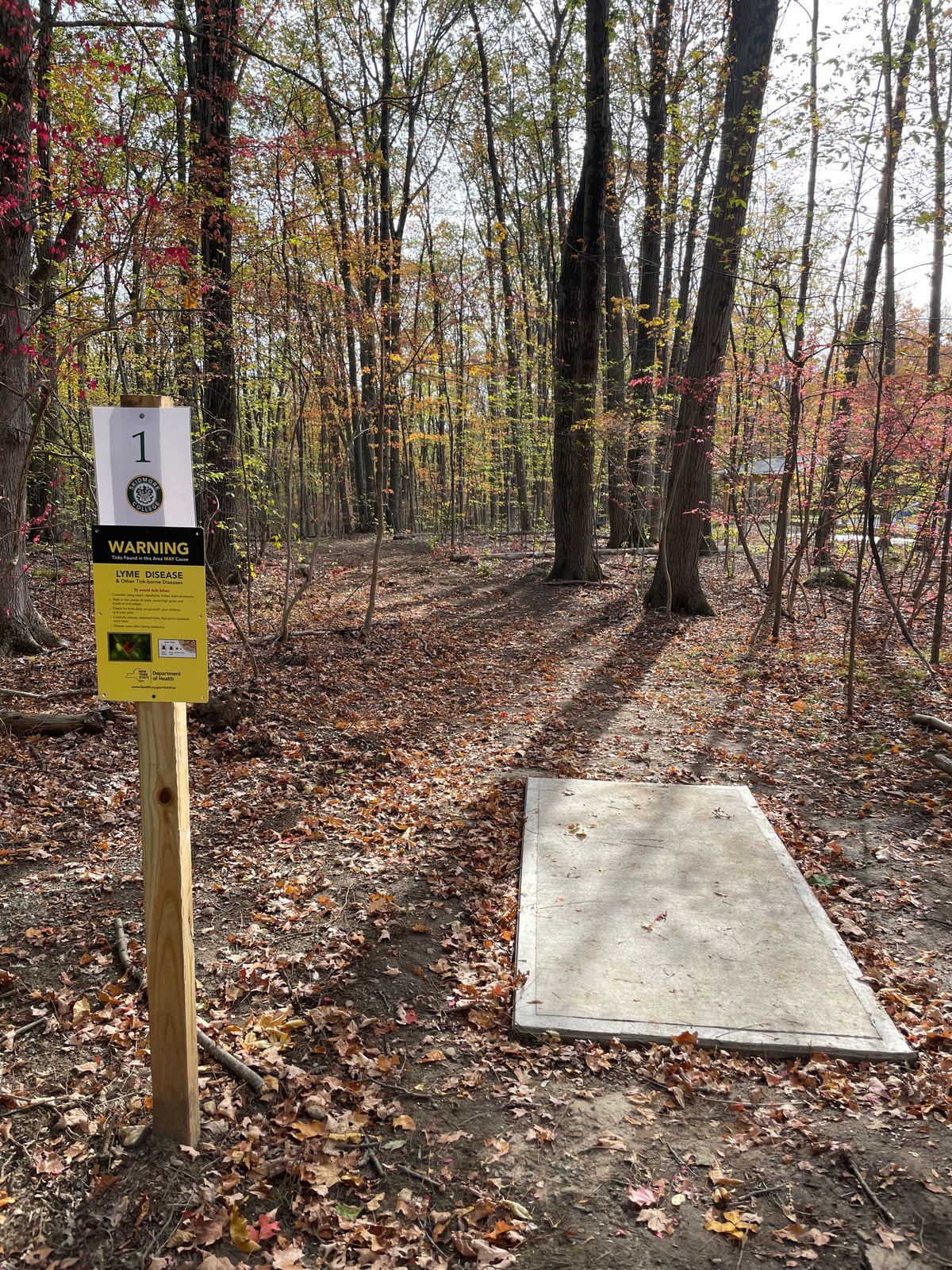 Hole 1 tee