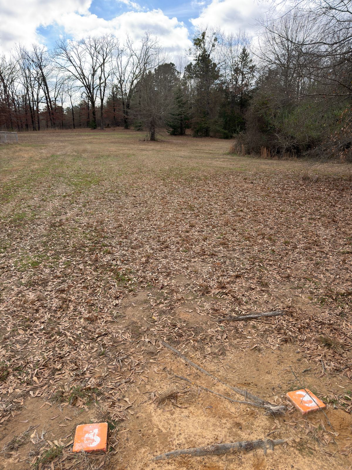 Hole 6, basket doglegs to the right and is behind a tree