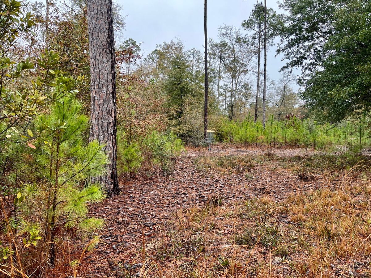 Hole 3 approach