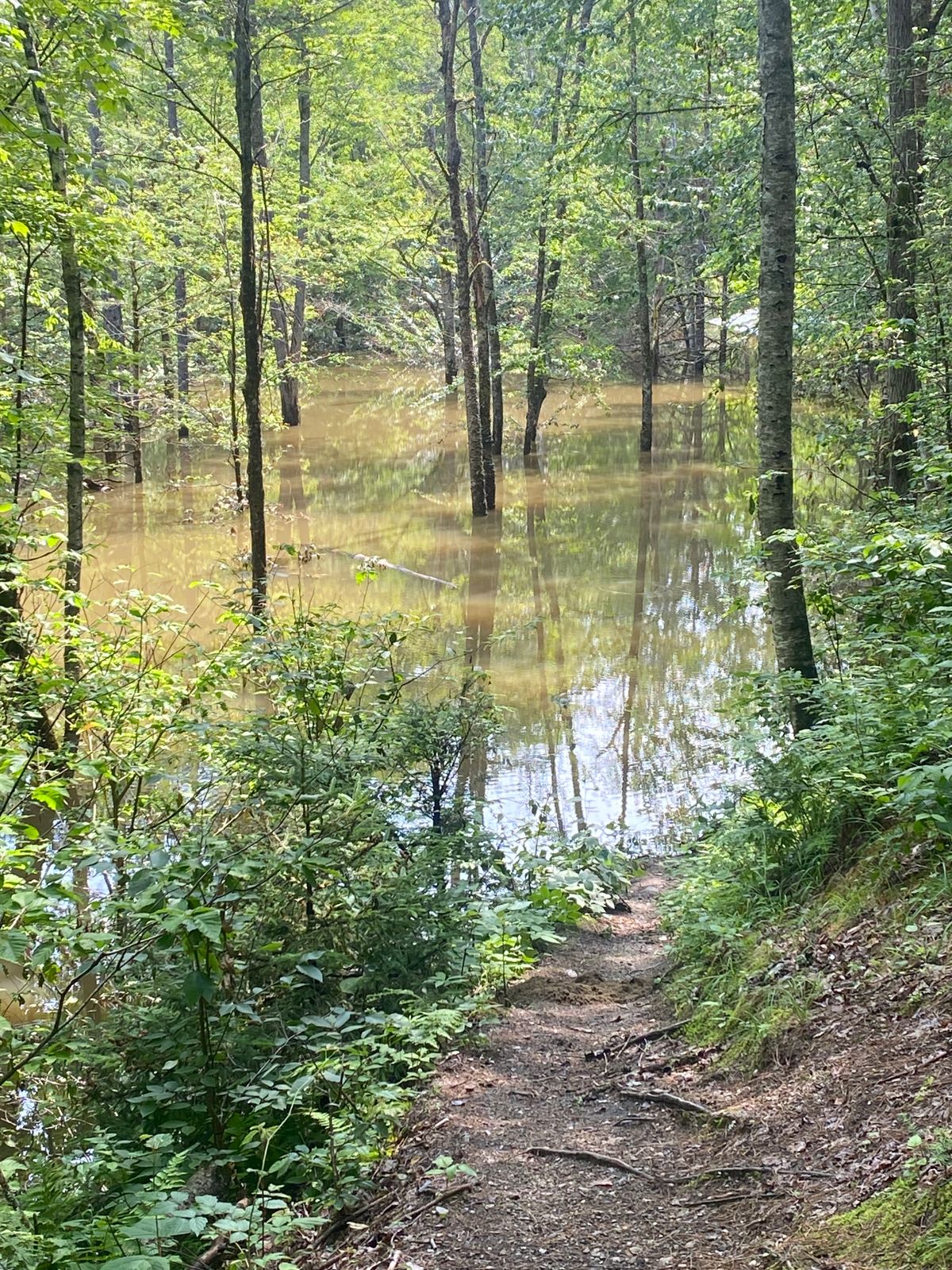 Looking down to hole 18. Completely submerged under water.