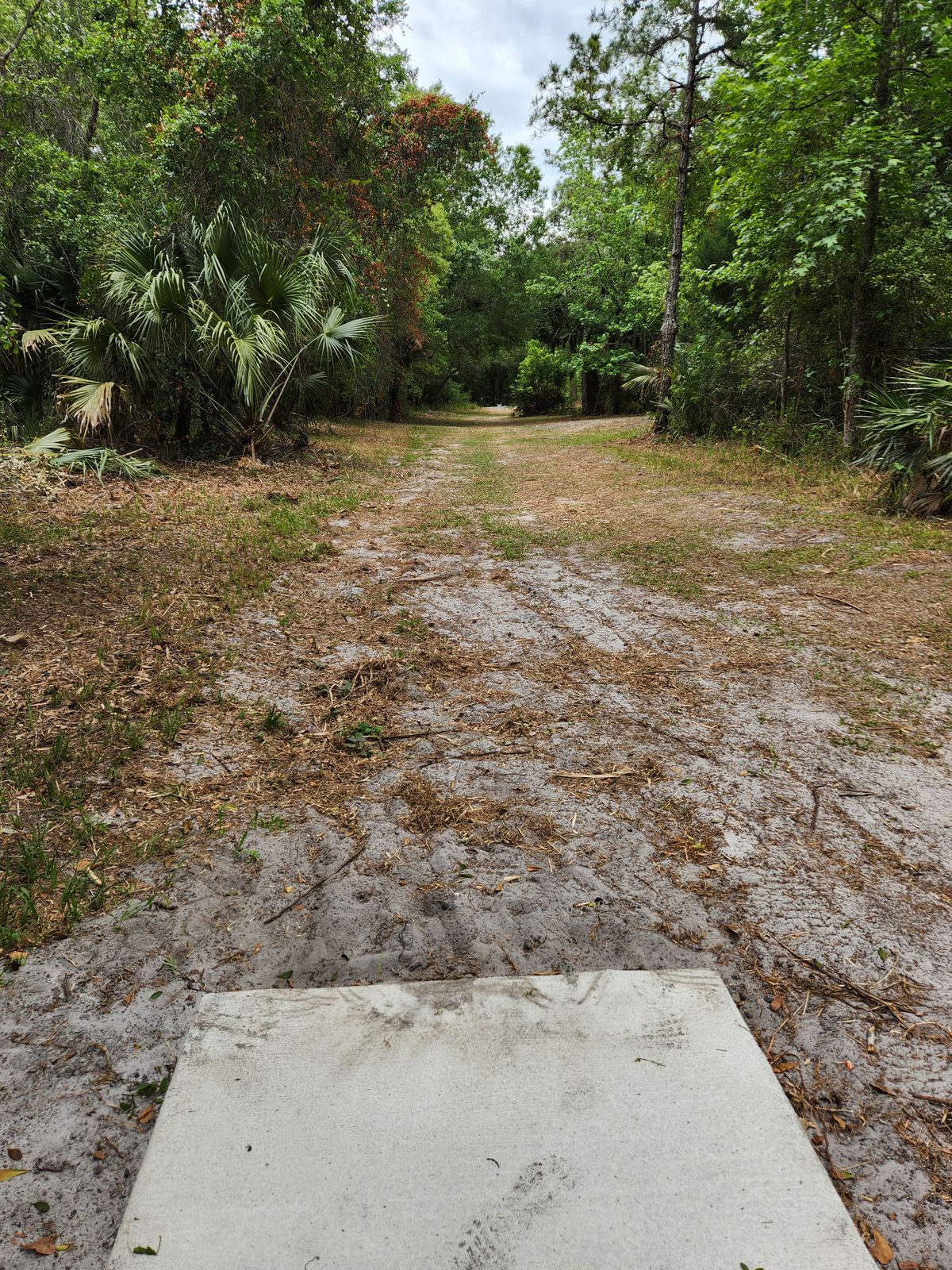 Hole 4 Short